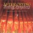After Crying : Bootleg Symphony
